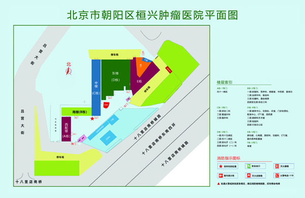 刺激日逼视频北京市朝阳区桓兴肿瘤医院平面图